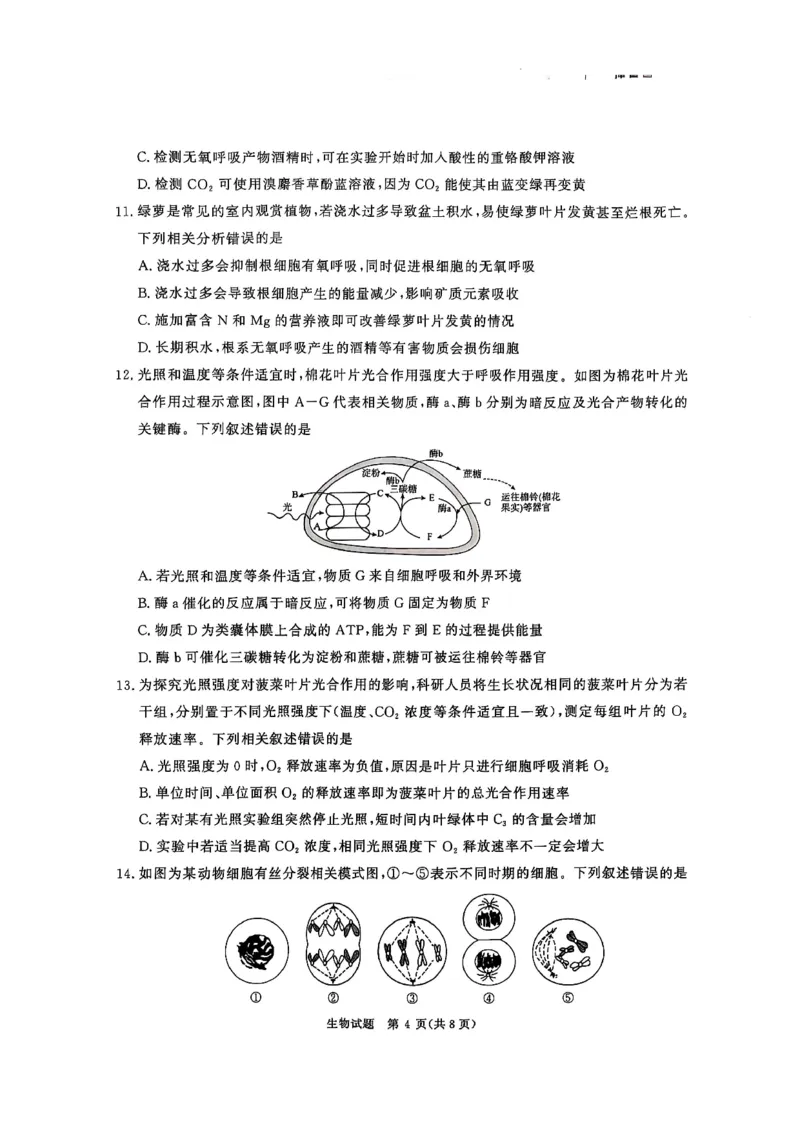 河南省青桐鸣2025-2026学年高三上学期10月联考--生物试卷_2025年10月_251019河南省青桐鸣大联考2025-2026学年高三上学期10月联考