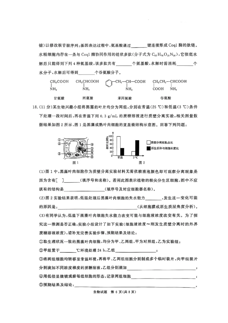 河南省青桐鸣2025-2026学年高三上学期10月联考--生物试卷_2025年10月_251019河南省青桐鸣大联考2025-2026学年高三上学期10月联考