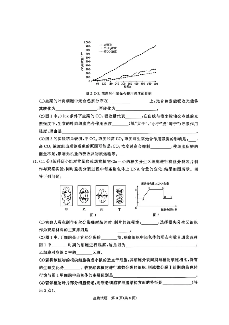 河南省青桐鸣2025-2026学年高三上学期10月联考--生物试卷_2025年10月_251019河南省青桐鸣大联考2025-2026学年高三上学期10月联考