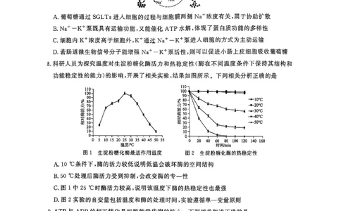 河南省青桐鸣2025-2026学年高三上学期10月联考--生物试卷_2025年10月_251019河南省青桐鸣大联考2025-2026学年高三上学期10月联考