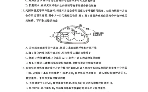 河南省青桐鸣2025-2026学年高三上学期10月联考--生物试卷_2025年10月_251019河南省青桐鸣大联考2025-2026学年高三上学期10月联考