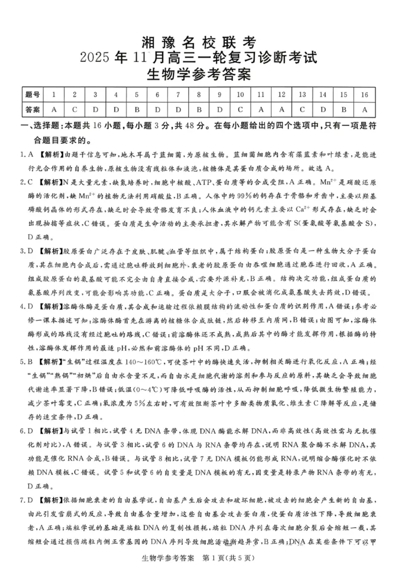 湘豫名校联考2025年11月高三一轮复习诊断考试生物答案_2025年11月_251125湘豫名校联考2025年11月高三一轮复习诊断考试（全科）