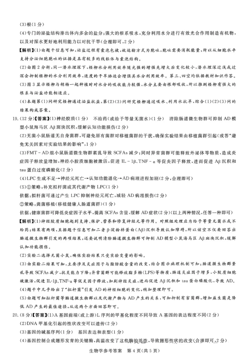 湘豫名校联考2025年11月高三一轮复习诊断考试生物答案_2025年11月_251125湘豫名校联考2025年11月高三一轮复习诊断考试（全科）