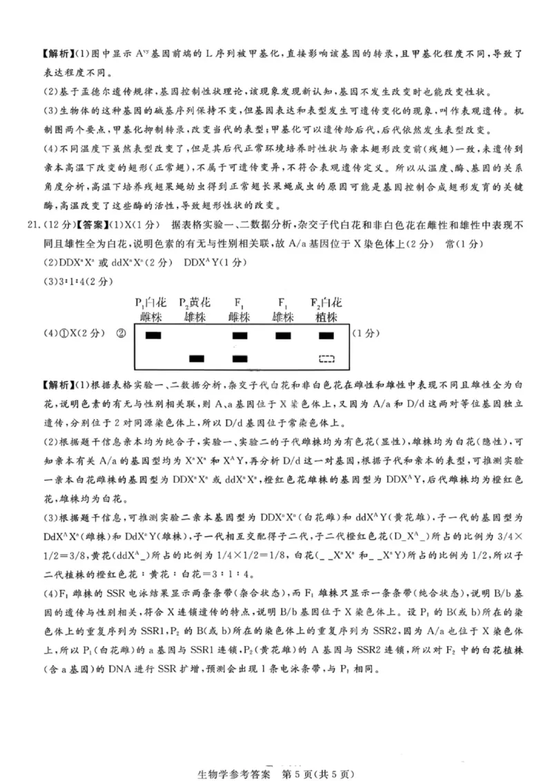 湘豫名校联考2025年11月高三一轮复习诊断考试生物答案_2025年11月_251125湘豫名校联考2025年11月高三一轮复习诊断考试（全科）