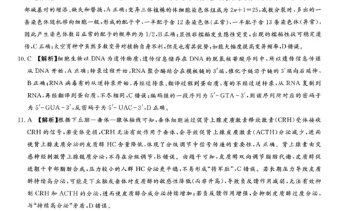 湘豫名校联考2025年11月高三一轮复习诊断考试生物答案_2025年11月_251125湘豫名校联考2025年11月高三一轮复习诊断考试（全科）
