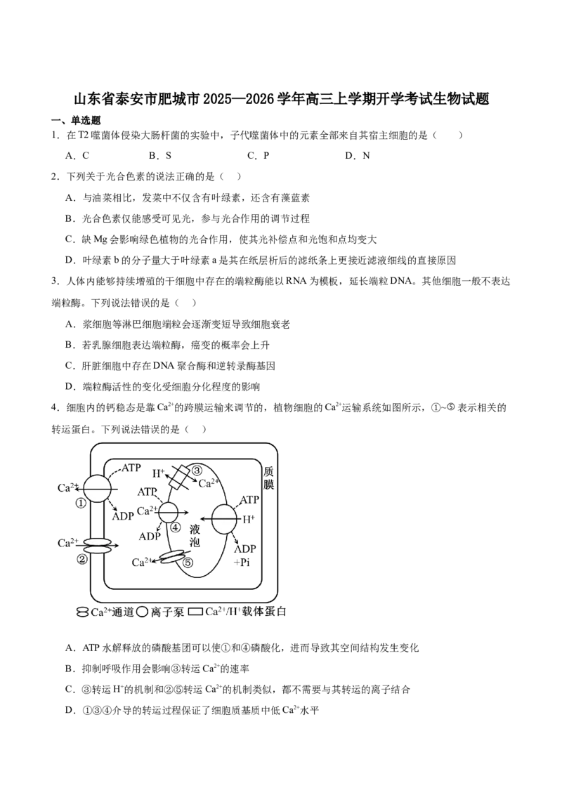 山东省泰安市肥城市2026届高三上学期开学考试生物试卷（含答案）_2025年9月_250914山东省泰安肥城市2025-2026学年高三上学期开学考试（全科）