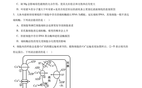 山东省泰安市肥城市2026届高三上学期开学考试生物试卷（含答案）_2025年9月_250914山东省泰安肥城市2025-2026学年高三上学期开学考试（全科）