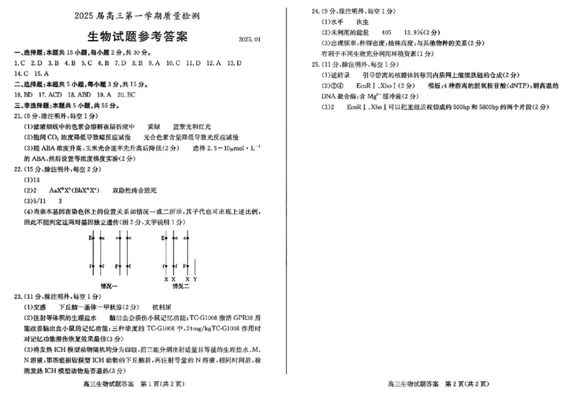 生物试卷答案_2025年1月_250120山东省枣庄市2025届高三第一学期质量检测（全科）_山东省枣庄市2024-2025学年高三上学期1月期末生物