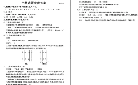 生物试卷答案_2025年1月_250120山东省枣庄市2025届高三第一学期质量检测（全科）_山东省枣庄市2024-2025学年高三上学期1月期末生物