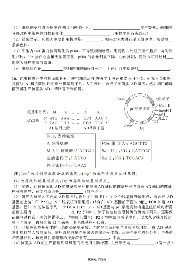 襄阳五中2025届高三下学期5月适应性考试（一）生物_2025年5月_250510湖北省襄阳五中2025届高三下学期5月适应性考试（一）（全科）