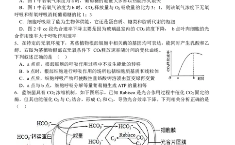 襄阳五中2025届高三下学期5月适应性考试（一）生物_2025年5月_250510湖北省襄阳五中2025届高三下学期5月适应性考试（一）（全科）