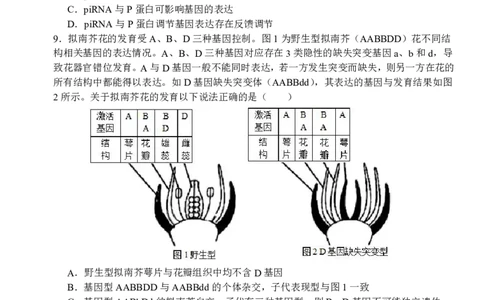 襄阳五中2025届高三下学期5月适应性考试（一）生物_2025年5月_250510湖北省襄阳五中2025届高三下学期5月适应性考试（一）（全科）