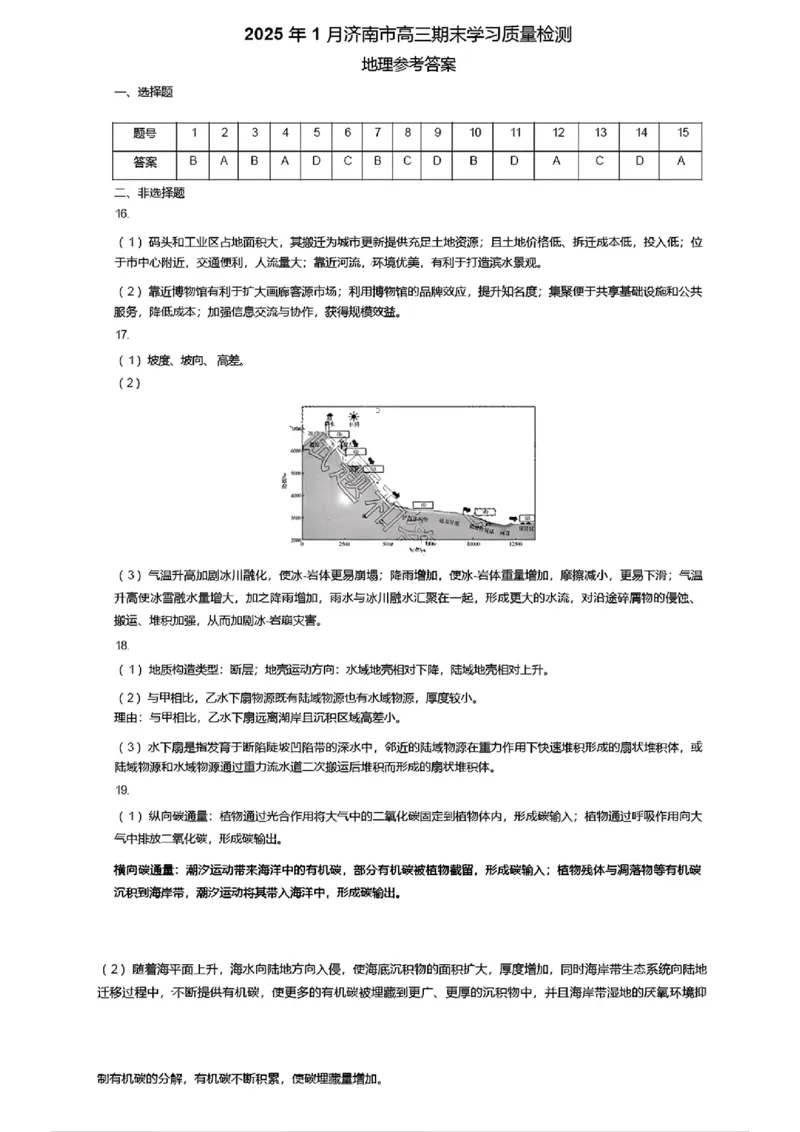 济南高三期末地理答案_2025年1月_250119山东省济南市2024-2025学年高三上学期1月期末学习质量检测（全科）_山东省济南市2024-2025学年高三上学期1月期末考试地理