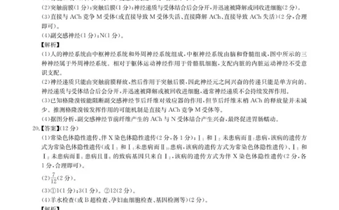 生物答案_2025年11月_251126湖北省华大新高考联盟2026届高三11月教学质量测评（全科）_1209215425_华大新高考联盟2026届高三上学期11月测评生物试题+答案