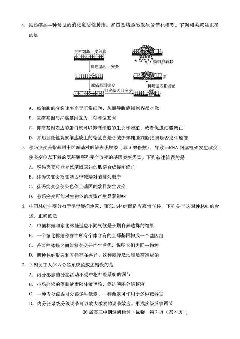 琢名小渔名校联考2026届高三年级中期调研检测生物_2025年11月_251119河北省琢名小渔名校联考2026届高三年级中期调研检测（全科）