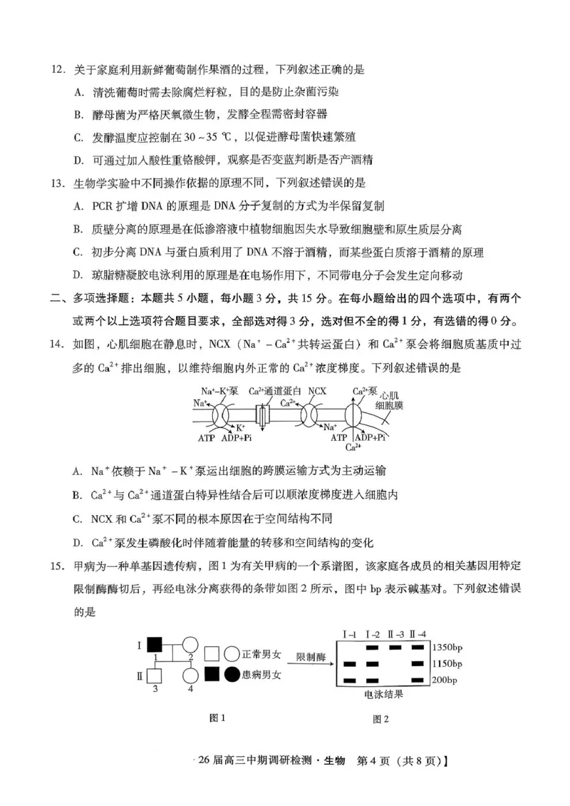 琢名小渔名校联考2026届高三年级中期调研检测生物_2025年11月_251119河北省琢名小渔名校联考2026届高三年级中期调研检测（全科）