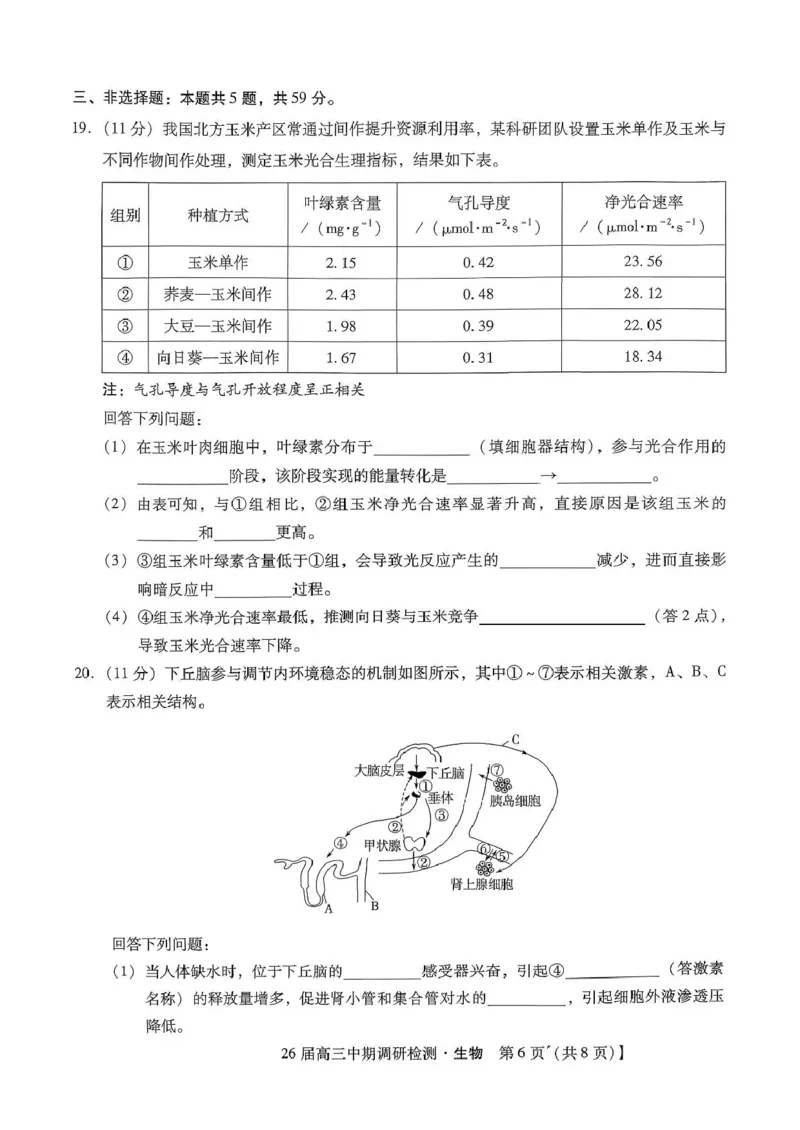 琢名小渔名校联考2026届高三年级中期调研检测生物_2025年11月_251119河北省琢名小渔名校联考2026届高三年级中期调研检测（全科）