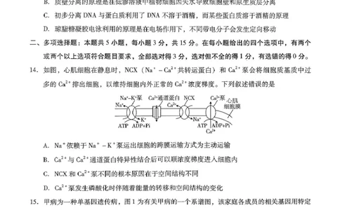 琢名小渔名校联考2026届高三年级中期调研检测生物_2025年11月_251119河北省琢名小渔名校联考2026届高三年级中期调研检测（全科）