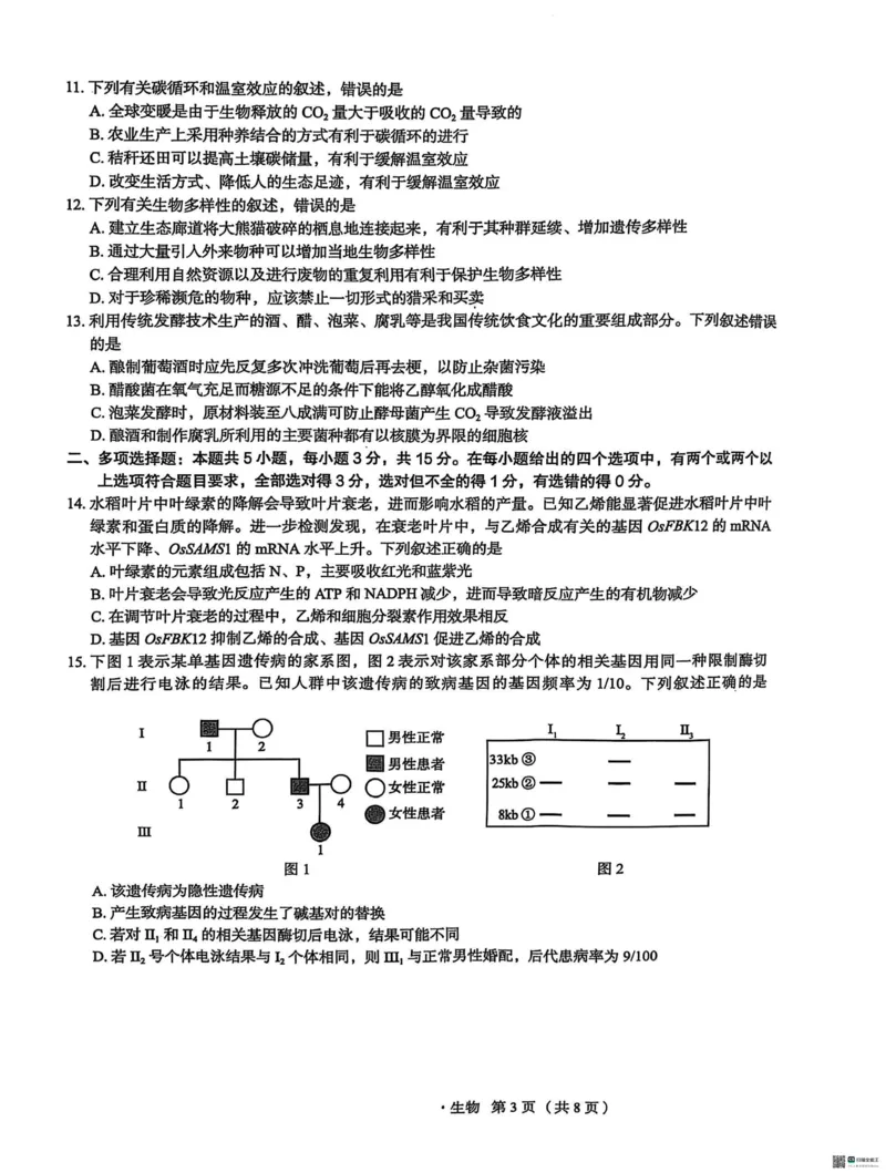 河北省2025届高三学生全过程纵向评价（四）生物试题（含答案）_2025年3月_250330河北省2025届高三学生全过程纵向评价（四）（全科）