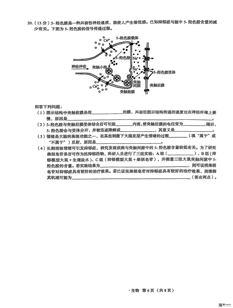 河北省2025届高三学生全过程纵向评价（四）生物试题（含答案）_2025年3月_250330河北省2025届高三学生全过程纵向评价（四）（全科）