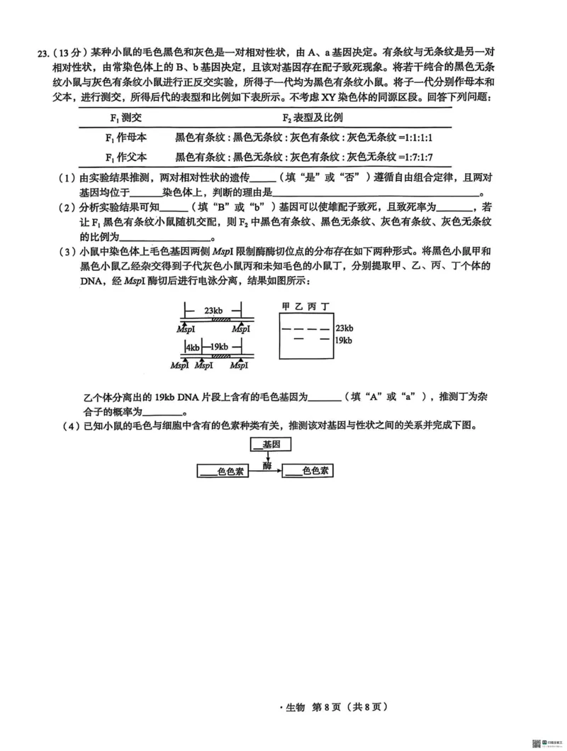 河北省2025届高三学生全过程纵向评价（四）生物试题（含答案）_2025年3月_250330河北省2025届高三学生全过程纵向评价（四）（全科）