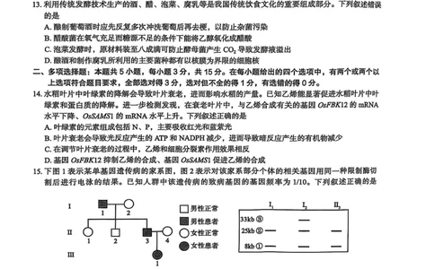 河北省2025届高三学生全过程纵向评价（四）生物试题（含答案）_2025年3月_250330河北省2025届高三学生全过程纵向评价（四）（全科）