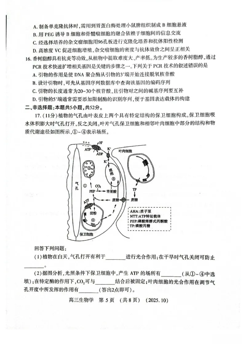 生物试卷_2025年10月_251028河南省豫西北教研联盟2026届高三上学期第一次质量检测（全科）_河南省豫西北教研联盟2025-2026学年高三上学期第一次质量检测生物试卷（有答案）