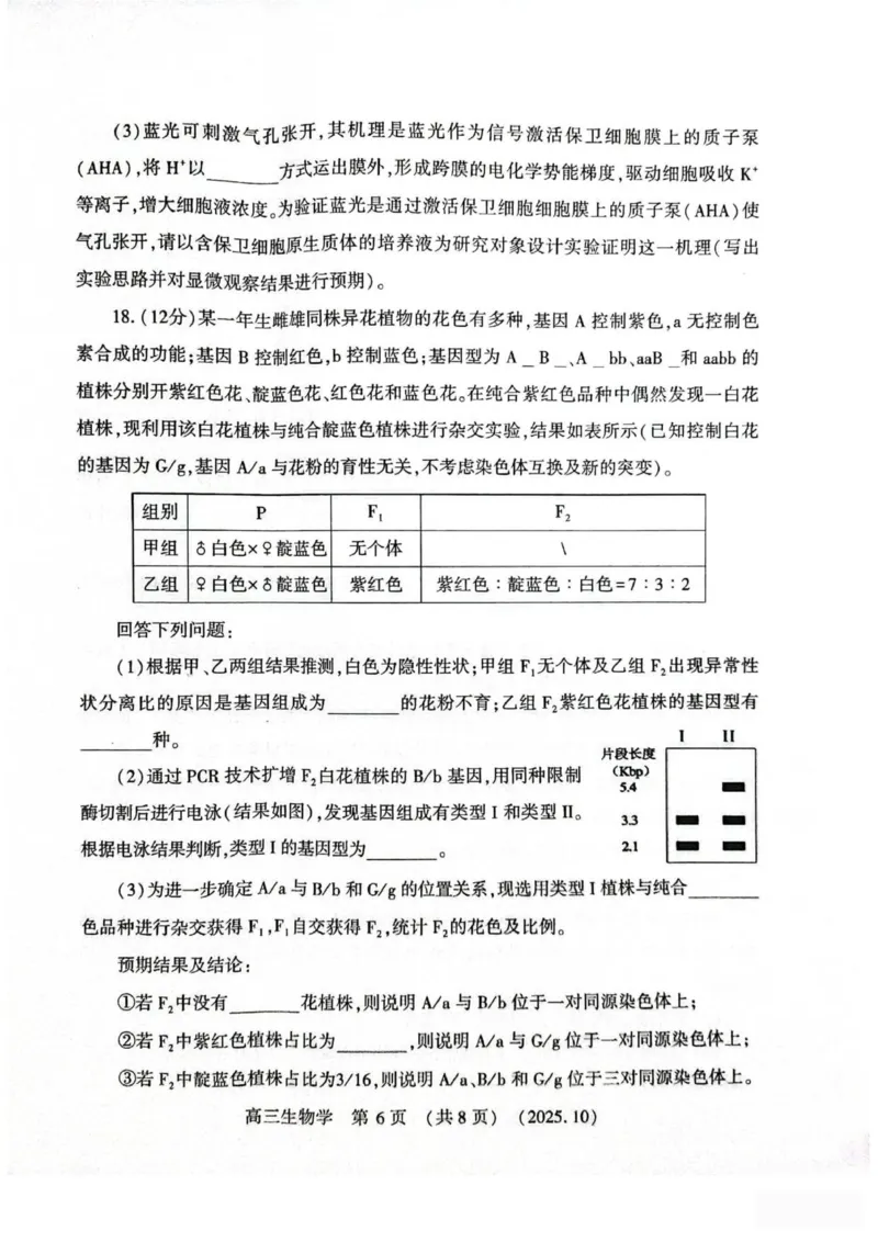 生物试卷_2025年10月_251028河南省豫西北教研联盟2026届高三上学期第一次质量检测（全科）_河南省豫西北教研联盟2025-2026学年高三上学期第一次质量检测生物试卷（有答案）