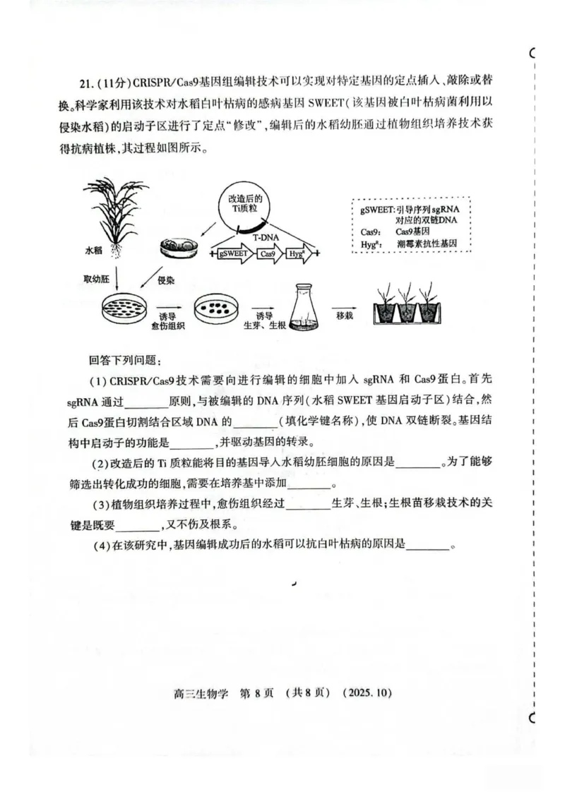 生物试卷_2025年10月_251028河南省豫西北教研联盟2026届高三上学期第一次质量检测（全科）_河南省豫西北教研联盟2025-2026学年高三上学期第一次质量检测生物试卷（有答案）