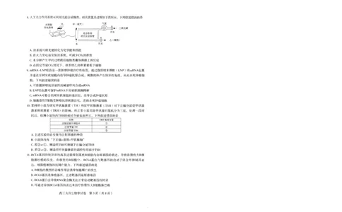 生物试卷_2025年9月_250912湖北省武汉市部分学校2026届高三上学期九月调研考试（全科）_生物