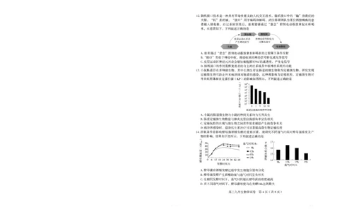 生物试卷_2025年9月_250912湖北省武汉市部分学校2026届高三上学期九月调研考试（全科）_生物