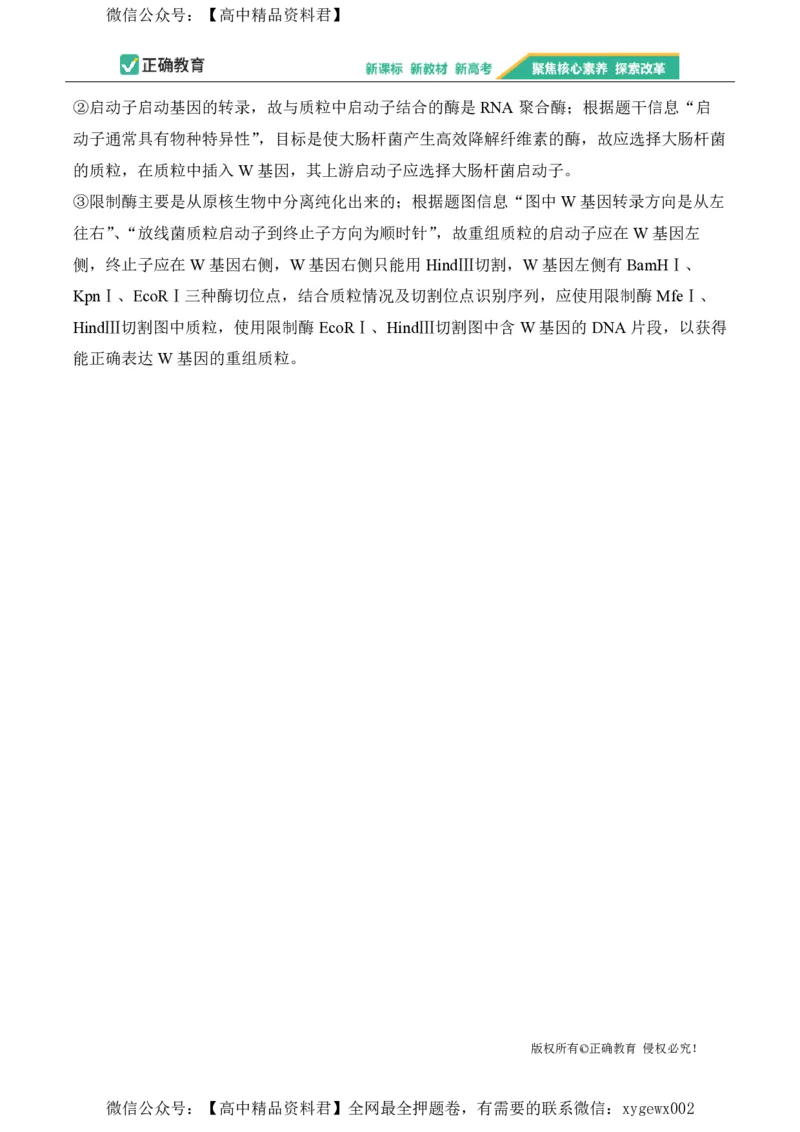 2024届明日之星高考生物精英模拟卷贵州版_2024高考押题卷_72024正确教育全系列_2024明日之星全系列_（新高考）2024《明日之星&middot;高考精英模拟卷》（九科全）各一套