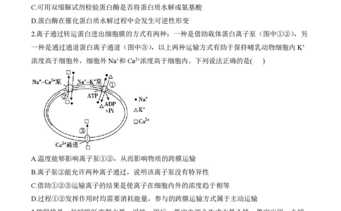 2024届明日之星高考生物精英模拟卷贵州版_2024高考押题卷_72024正确教育全系列_2024明日之星全系列_（新高考）2024《明日之星&middot;高考精英模拟卷》（九科全）各一套
