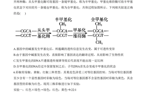 2024届明日之星高考生物精英模拟卷贵州版_2024高考押题卷_72024正确教育全系列_2024明日之星全系列_（新高考）2024《明日之星&middot;高考精英模拟卷》（九科全）各一套