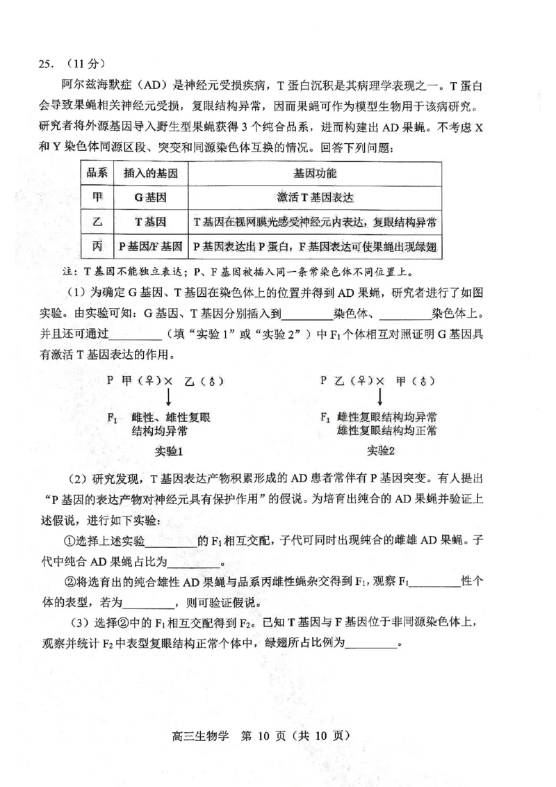 生物试题2025年东北三省四城市联考暨沈阳市高三质量监测（二）_2025年4月_2504102025年东北三省四城市联考暨沈阳市高三质量监测（二）（全科）