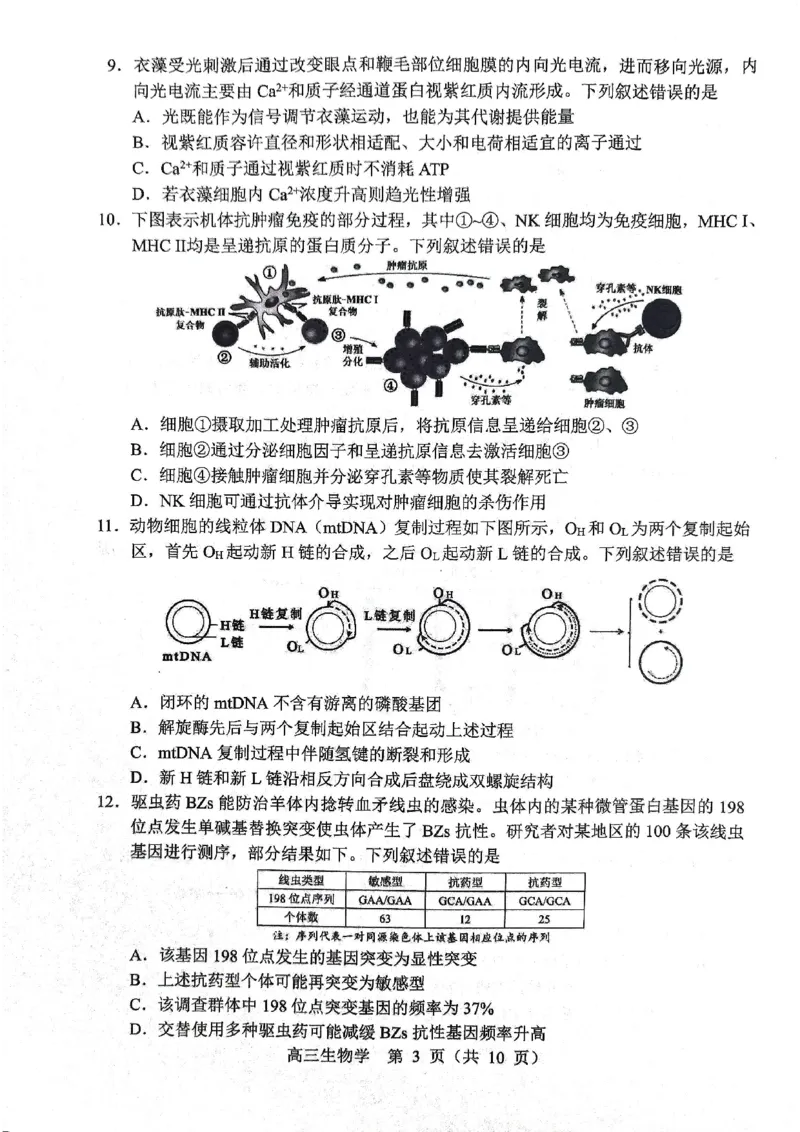 生物试题2025年东北三省四城市联考暨沈阳市高三质量监测（二）_2025年4月_2504102025年东北三省四城市联考暨沈阳市高三质量监测（二）（全科）