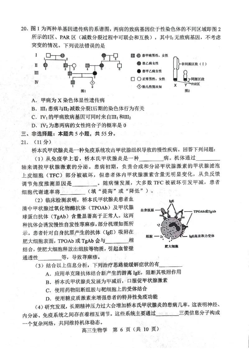 生物试题2025年东北三省四城市联考暨沈阳市高三质量监测（二）_2025年4月_2504102025年东北三省四城市联考暨沈阳市高三质量监测（二）（全科）