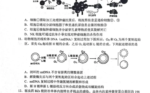 生物试题2025年东北三省四城市联考暨沈阳市高三质量监测（二）_2025年4月_2504102025年东北三省四城市联考暨沈阳市高三质量监测（二）（全科）