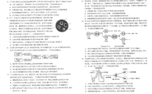 四川省雅安市2024-2025学年高三下学期第二次诊断性考试生物_2025年4月_250413四川省雅安市2024-2025学年高三下学期第二次诊断性考试（全科）