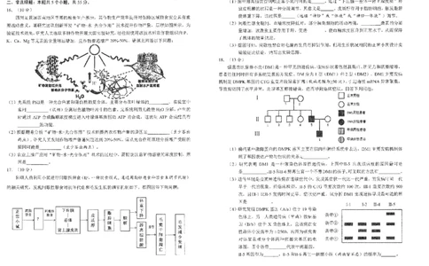 四川省雅安市2024-2025学年高三下学期第二次诊断性考试生物_2025年4月_250413四川省雅安市2024-2025学年高三下学期第二次诊断性考试（全科）