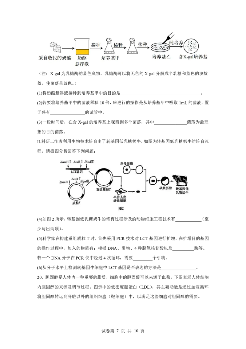 湖北省荆州中学2025-2026学年高三上学期8月月考生物_2025年8月_250821湖北省荆州中学2025-2026学年高三上学期8月月考（全科）_湖北省荆州中学2025-2026学年高三上学期8月月考生物