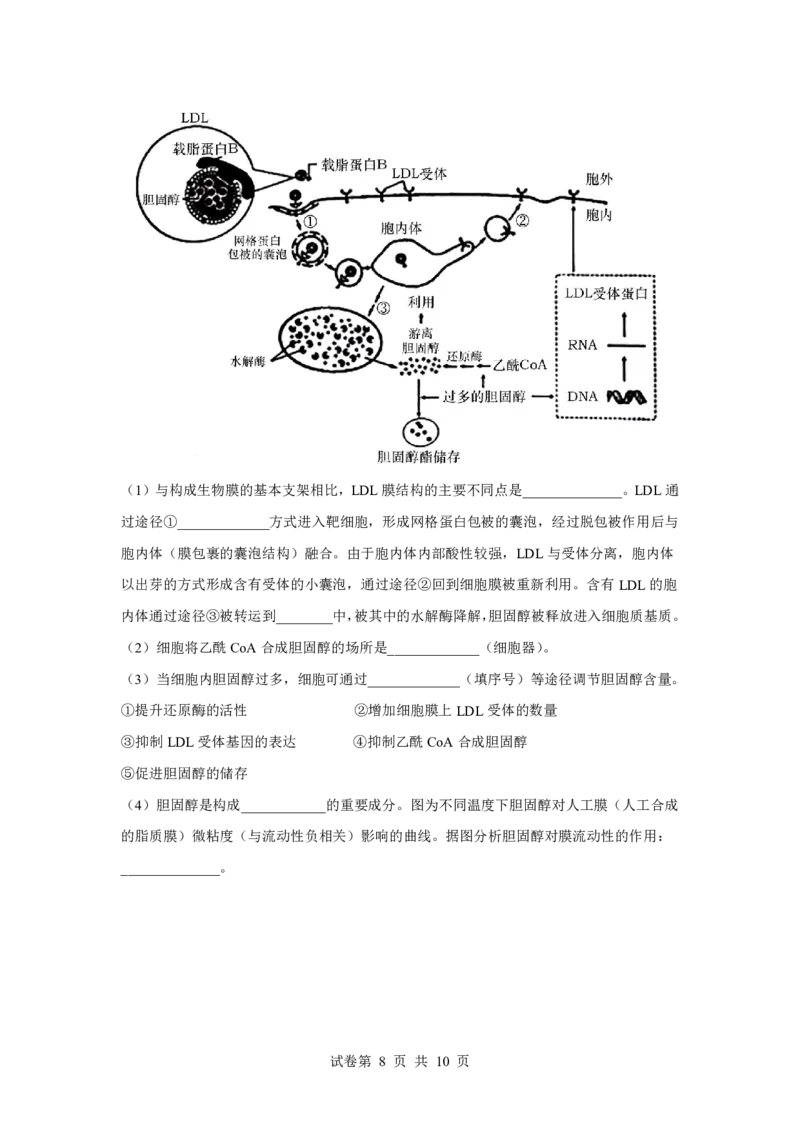 湖北省荆州中学2025-2026学年高三上学期8月月考生物_2025年8月_250821湖北省荆州中学2025-2026学年高三上学期8月月考（全科）_湖北省荆州中学2025-2026学年高三上学期8月月考生物
