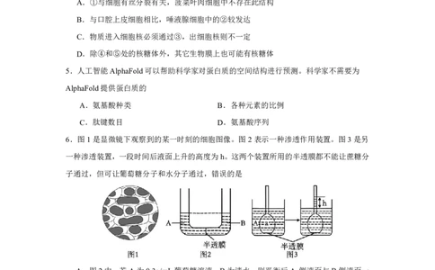 湖北省荆州中学2025-2026学年高三上学期8月月考生物_2025年8月_250821湖北省荆州中学2025-2026学年高三上学期8月月考（全科）_湖北省荆州中学2025-2026学年高三上学期8月月考生物
