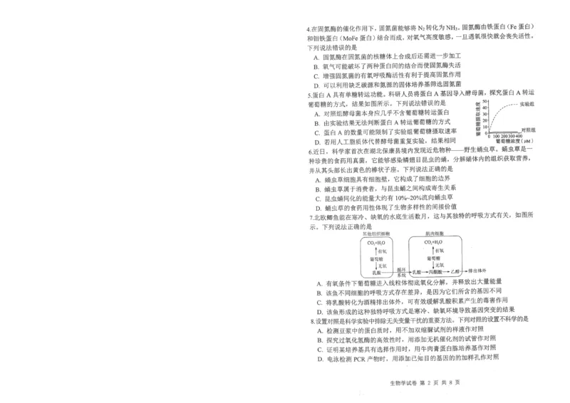 腾云10月联考生物试卷_2025年10月_251019湖北省腾云联盟2026届高三10月联考（全科）_湖北省腾云联盟2026届高三10月联考生物