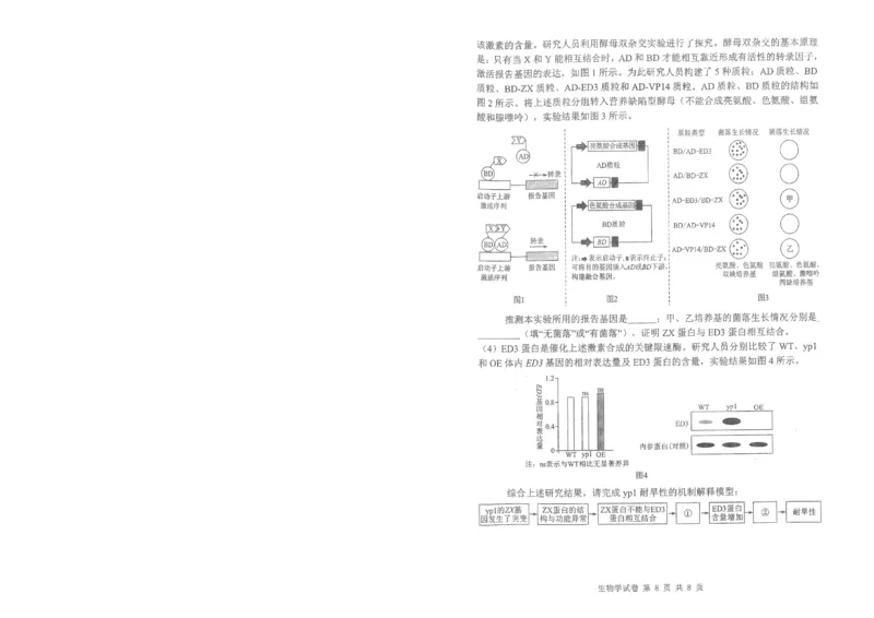 腾云10月联考生物试卷_2025年10月_251019湖北省腾云联盟2026届高三10月联考（全科）_湖北省腾云联盟2026届高三10月联考生物