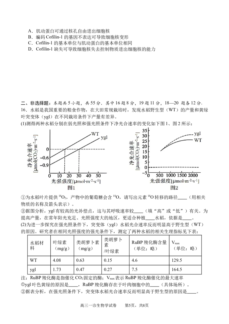 四川省字节精准教育联盟2026届高三上学期第一次诊断性考试模拟生物试卷（含解析）_2025年10月_251028四川省字节精准教育联盟2026届高三上学期第一次诊断性考试模拟（全科）