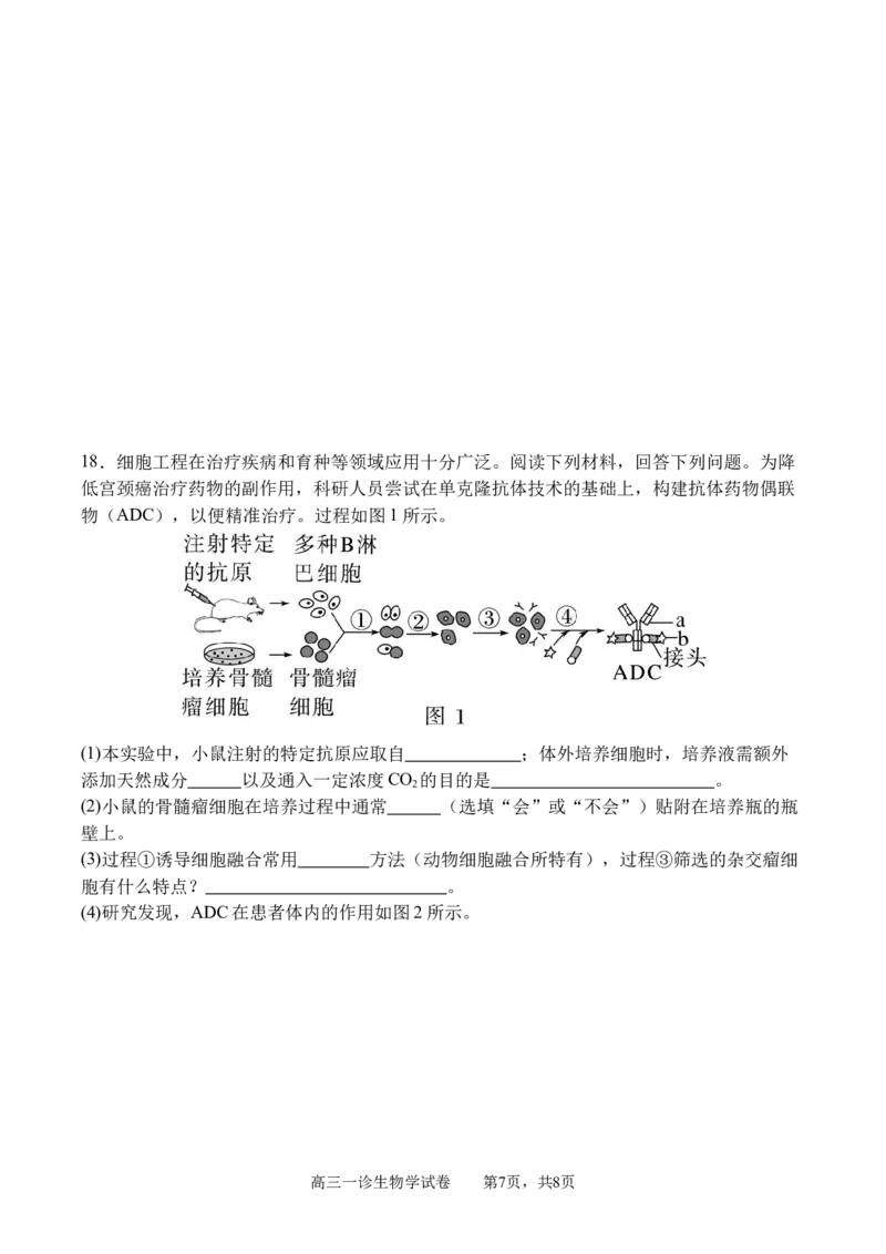 四川省字节精准教育联盟2026届高三上学期第一次诊断性考试模拟生物试卷（含解析）_2025年10月_251028四川省字节精准教育联盟2026届高三上学期第一次诊断性考试模拟（全科）