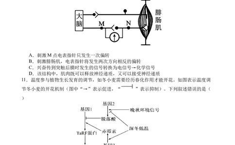 四川省字节精准教育联盟2026届高三上学期第一次诊断性考试模拟生物试卷（含解析）_2025年10月_251028四川省字节精准教育联盟2026届高三上学期第一次诊断性考试模拟（全科）