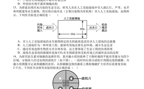 四川省字节精准教育联盟2026届高三上学期第一次诊断性考试模拟生物试卷（含解析）_2025年10月_251028四川省字节精准教育联盟2026届高三上学期第一次诊断性考试模拟（全科）