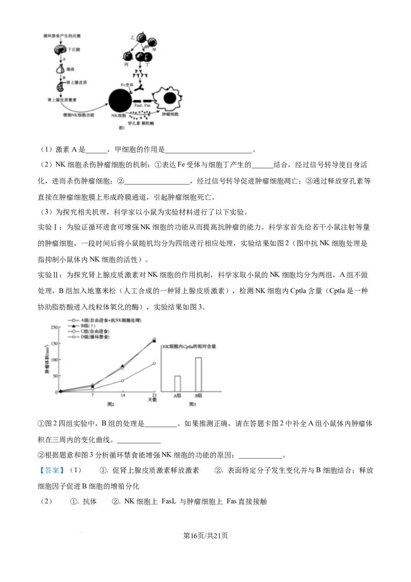 四川省乐山市第一中学校高2022级高三二模测试生物答案_2025年3月_250316四川省乐山市第一中学校高2022级高三二模测试（全科）_四川省乐山市第一中学校高2022级高三二模测试生物